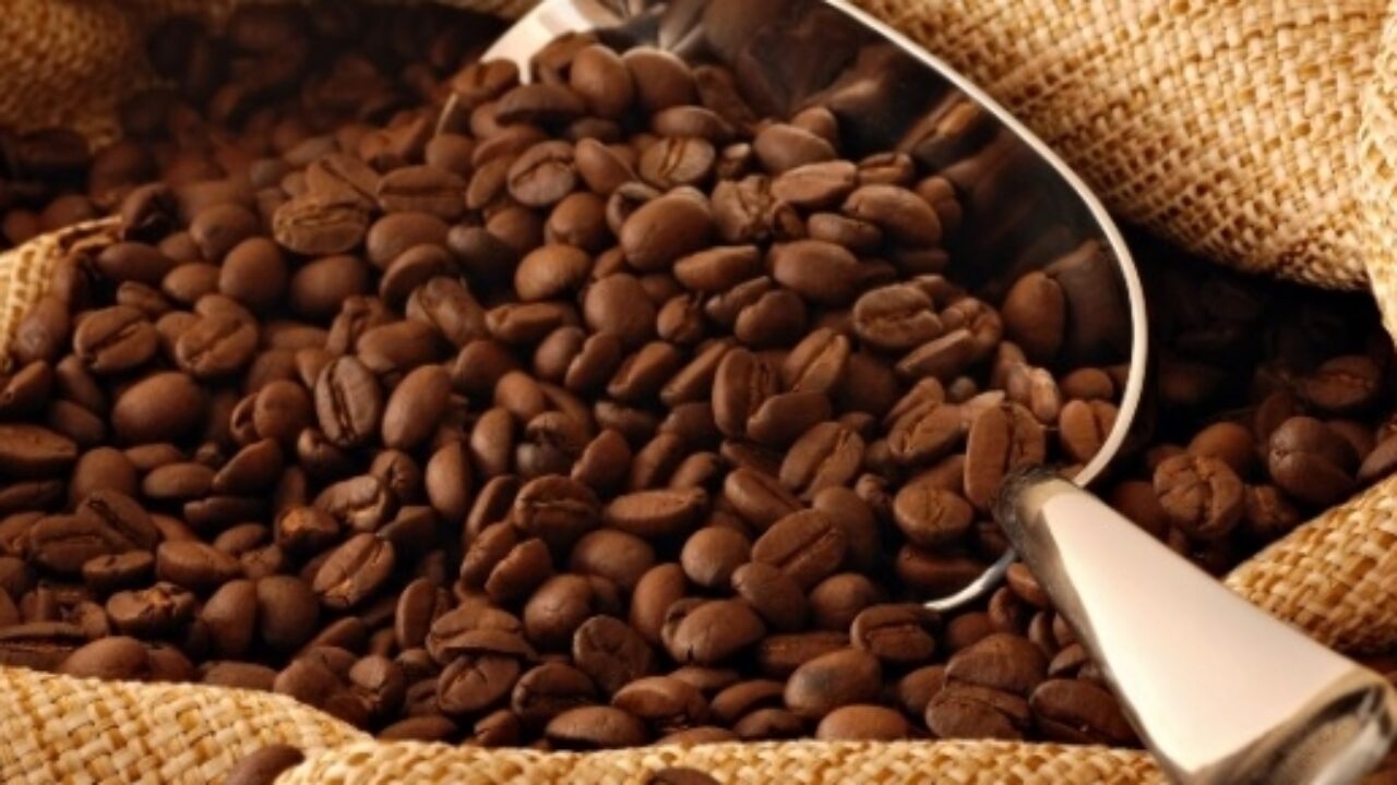 Diferenças entre os cafés arábica e conilon - Exportadora de Café Guaxupé