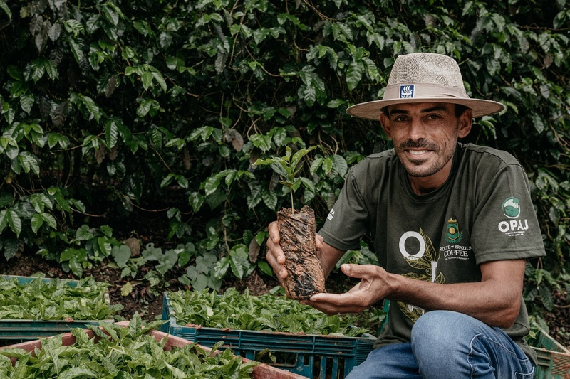Preço do café Conilon ultrapassa o Arábica pela primeira vez na história