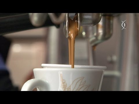 Olhar Paulistano: Ouro Negro - O café e o crescimento de São Paulo