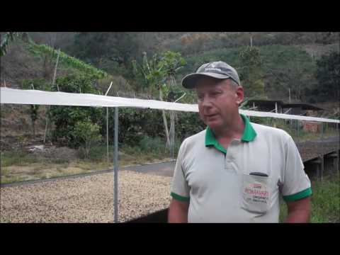 Produção café orgânico em Santa Maria de Jetibá