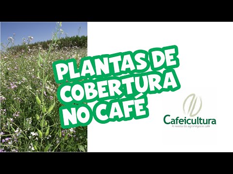Fenicafé 2023 - Palestra: Plantas de cobertura no café: Erros e acertos Dr. Ademir Calegari – IAPAR