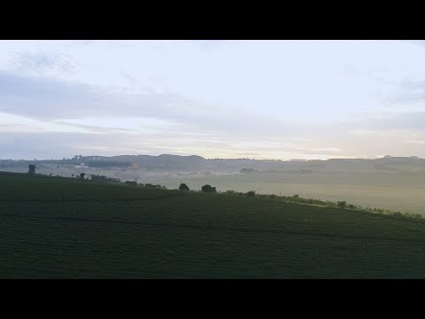 Nespresso Brasil | Consórcio Cerrado das Águas | BR