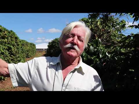 Convite Congresso Brasileiro de Pesquisa Cafeeira de 29/out a 1 nov 2019 em Poços de Caldas SP