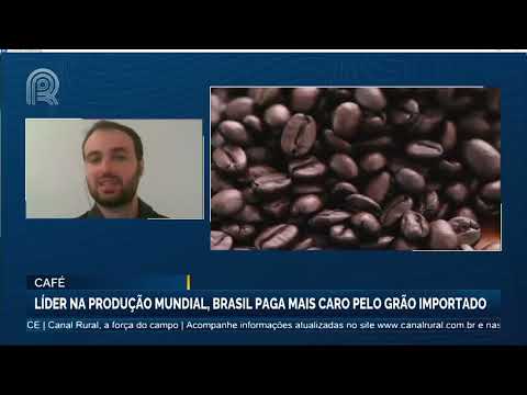 Café: líder na produção mundial, Brasil paga mais caro pelo grão importado | Canal Rural