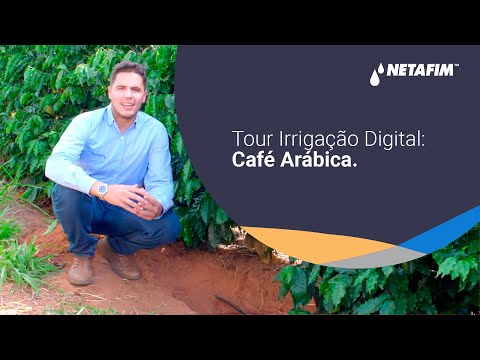 Tour Irrigação Digital: Café Arábica.