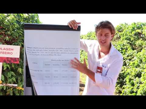 #Sistema #Radicular do #Cafeeiro Dr. Felipe Santinato Dia de Campo Fazenda AUMA