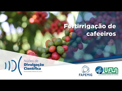 Fertirrigação de cafeeiros