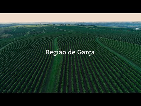 Vídeo Institucional - Cafés da Região de Garça