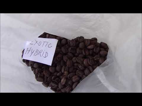 CONVITE: Cupping dos Cafés Exóticos do IAC - 2019