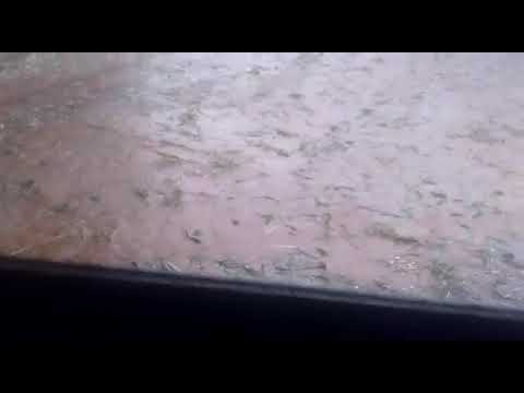 Chuva de granizo entre Santana da Vargem e Boa Esperança dia15/10/17
