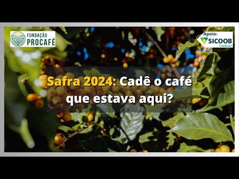 Podcast #134 - Safra 2024: Cadê o café que estava aqui?