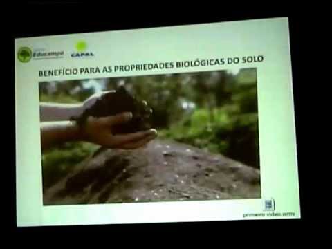 Palestra Adubação Orgânica do Cafeeiro - Rodrigo Ticle - Eng Agr. CAPAL