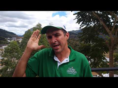 Como Produzir um café campeão nos concursos de qualidade. Dica do Produtor Luciano Dutra
