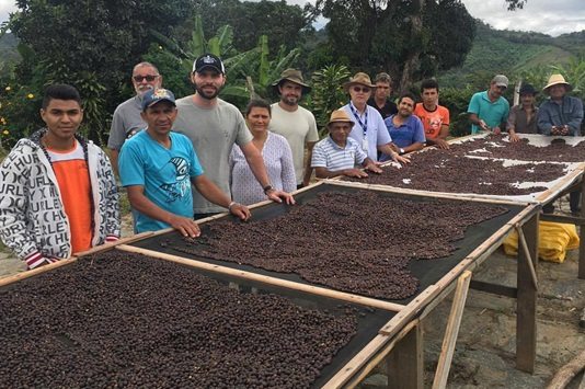 Ensei Neto, FIEC, Sebrae, Sindcafé e Aflora Café promovem treinamento sobre  produção industrial do café de Baturité - Revista Cafeicultura