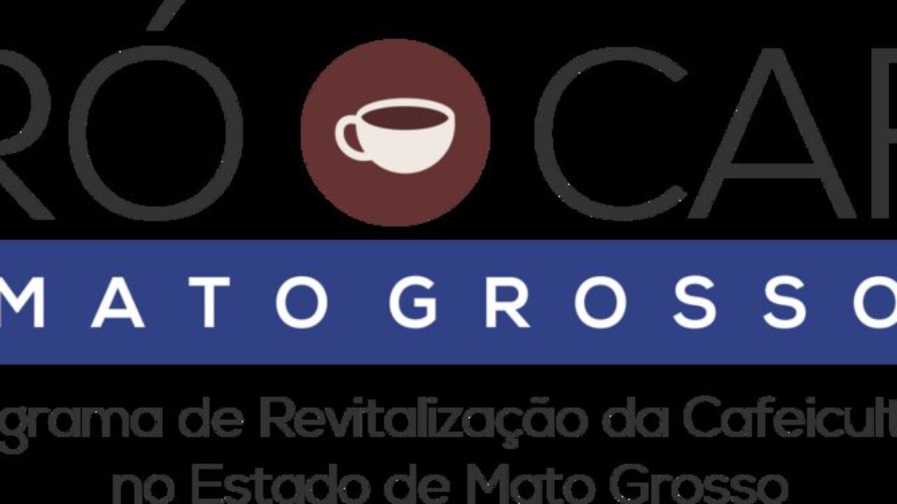 Mercado assustado com oferta: Conilon avança 11% e arábica 6% no acumulado  semanal - Revista Cafeicultura