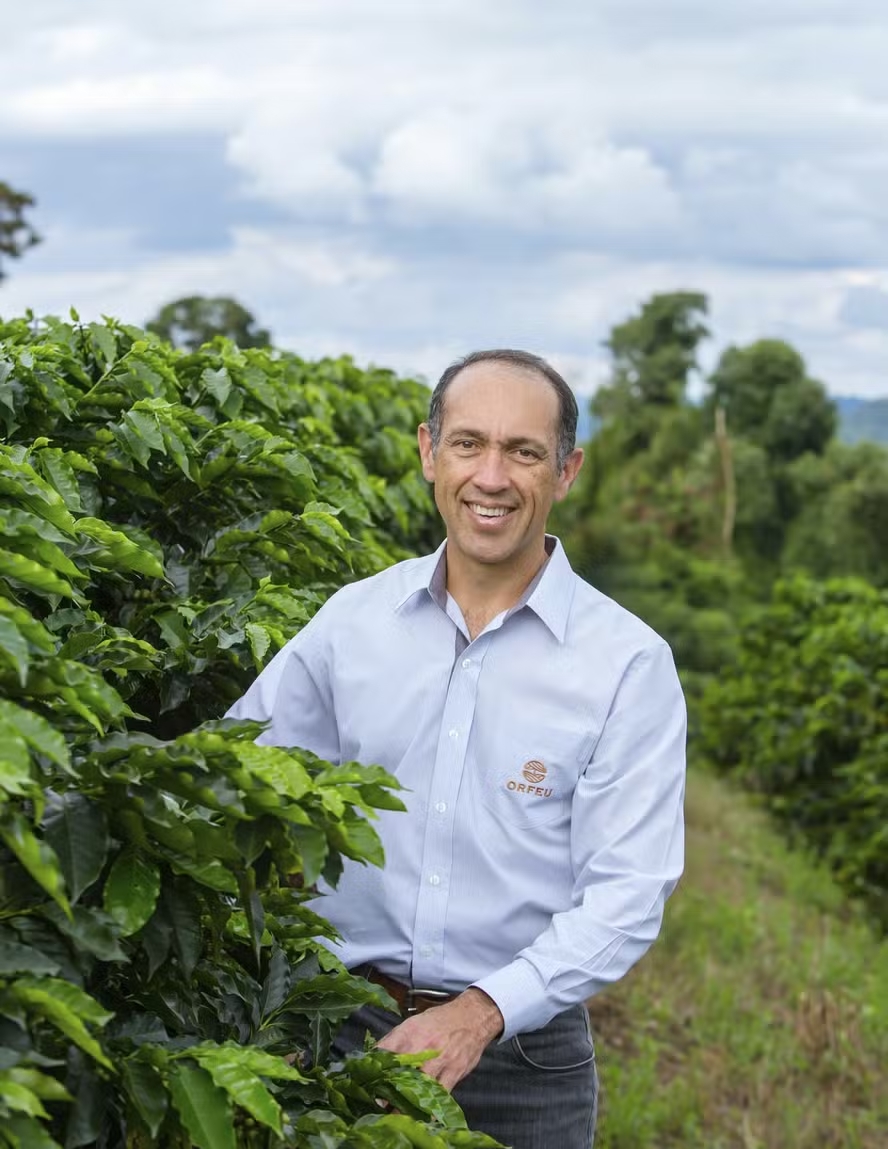 Mercado assustado com oferta: Conilon avança 11% e arábica 6% no acumulado  semanal - Revista Cafeicultura