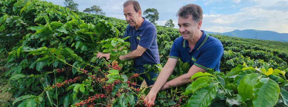 Exportações de café para a China crescem quase 4.000% em 10 anos