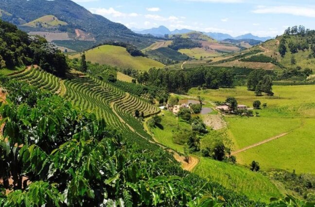 Propriedade de café na região das Matas de Minas, em Minas Gerais