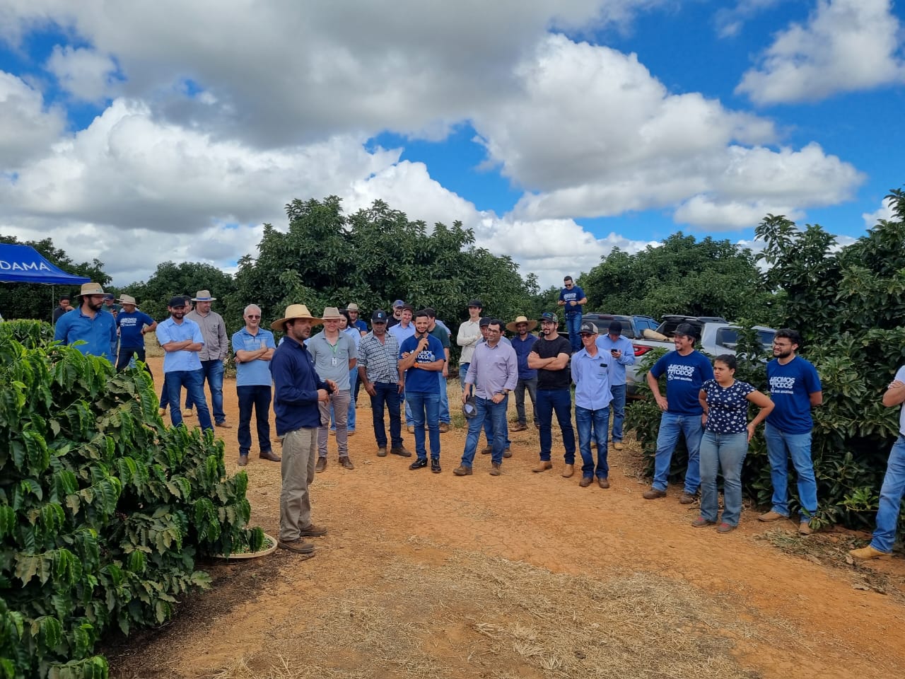 EPAMIG e Embrapa Café acompanham colheita e primeiros resultados do projeto de validação de novas cultivares de café para o estado Minas Gerais