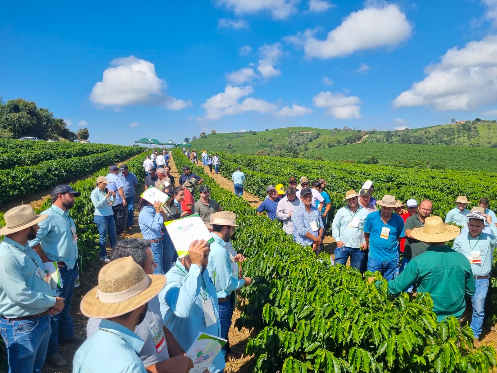 Dia de Campo em Ibiá apresenta novas cultivares de café para o Triângulo Mineiro e Alto Paranaíba